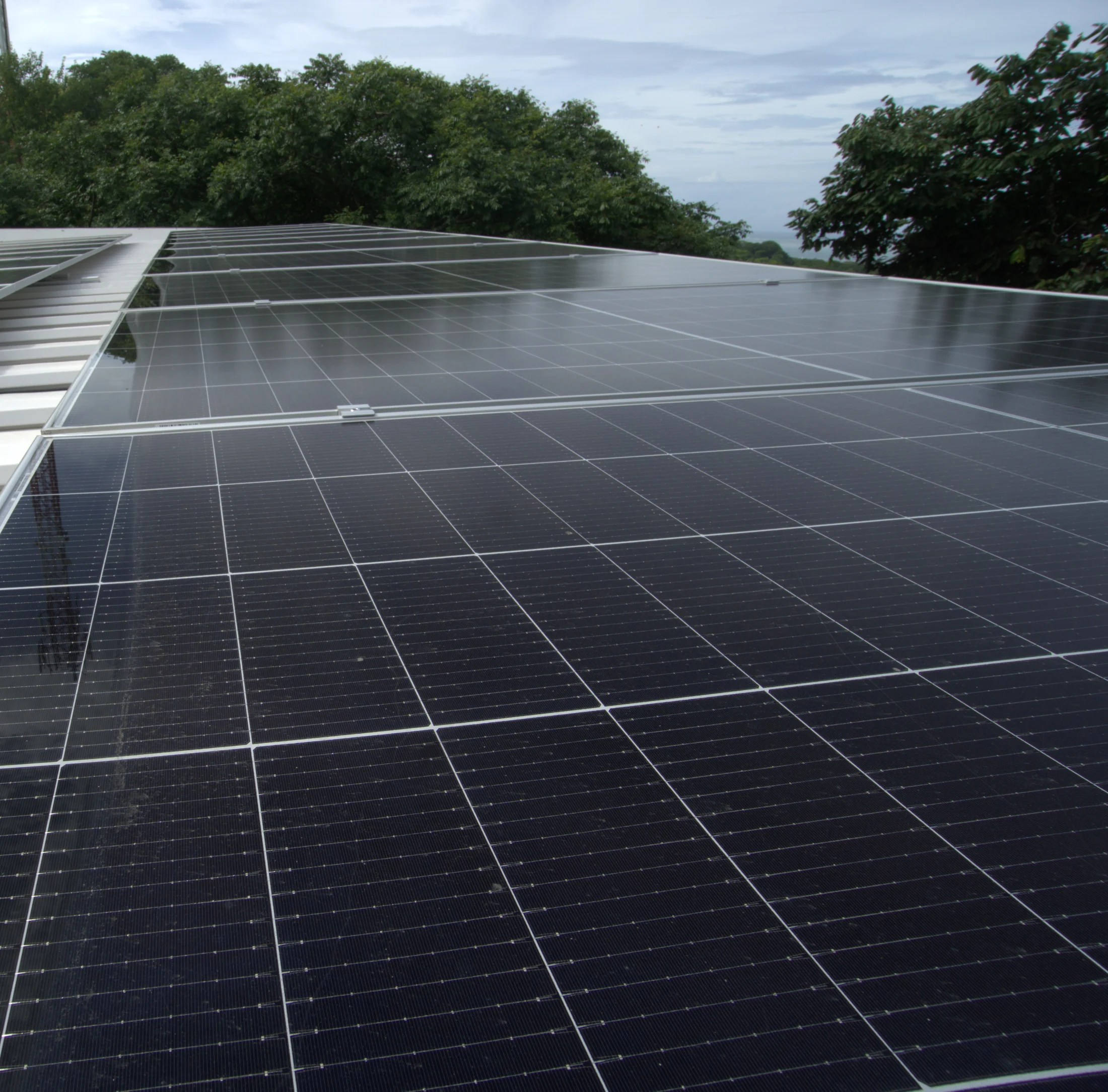 Solar panels in a tropical environment